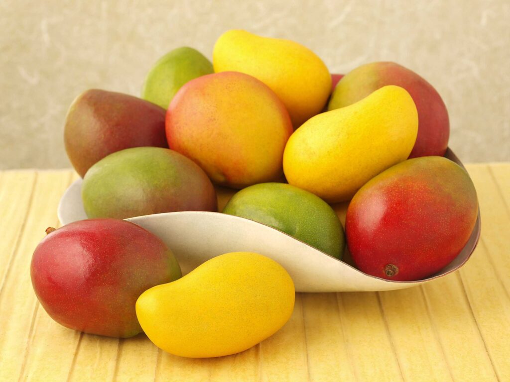 Variedades de mangos 