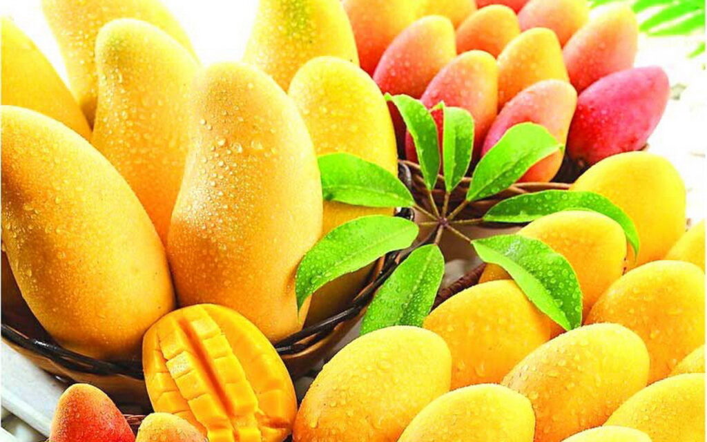 Mangos dominicanos 