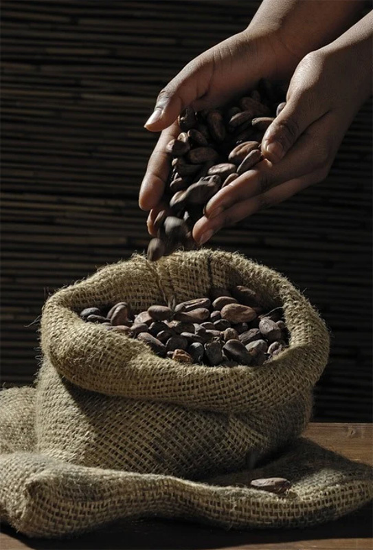 ¡Feliz día mundial del cacao!