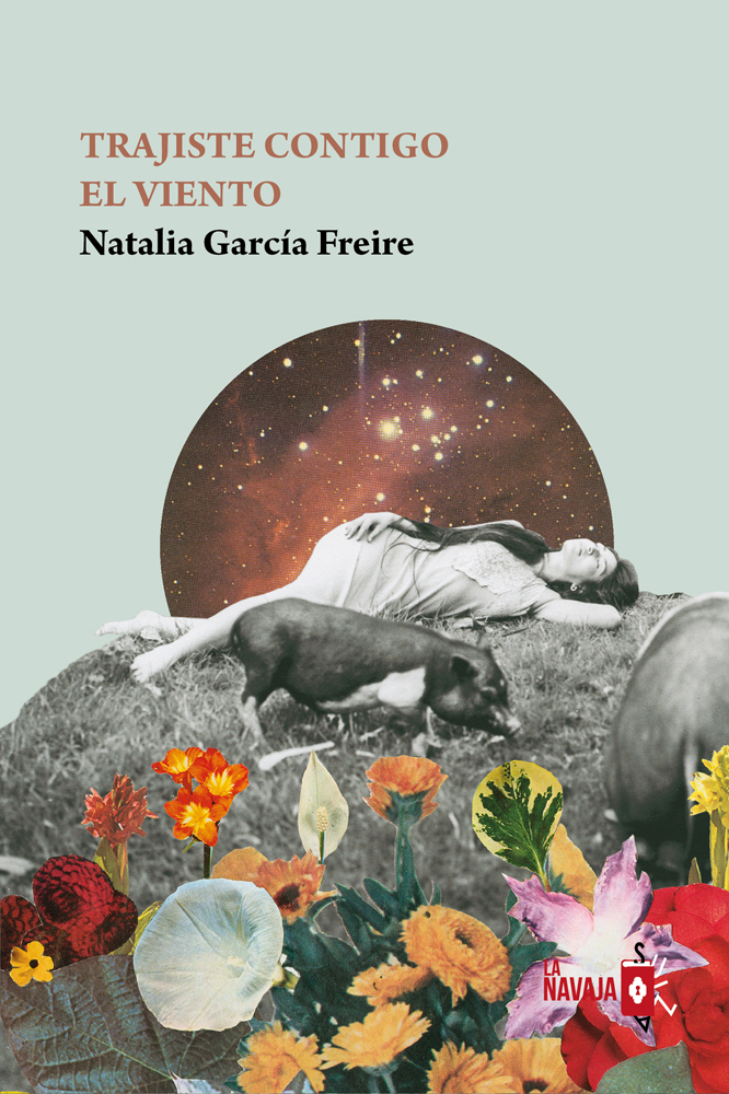Libros recomendados, portada de Trajiste contigo el viento. Natalia García Freire